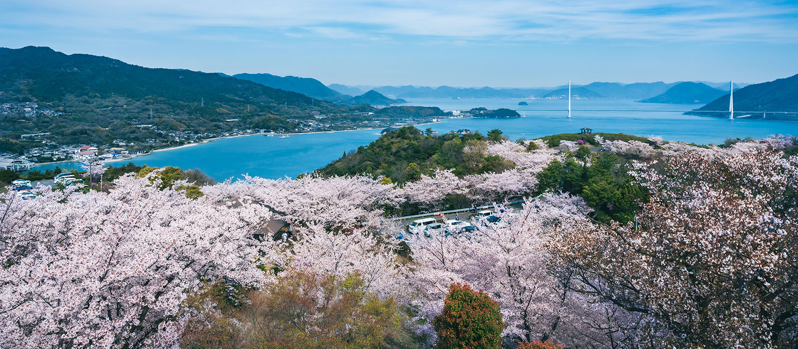 桜の絶景が広がるしまなみ海道を一望するスポット